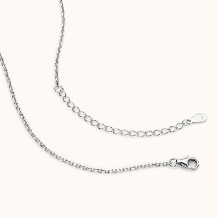 Sterling Silver Capricorn Zodiac Necklace