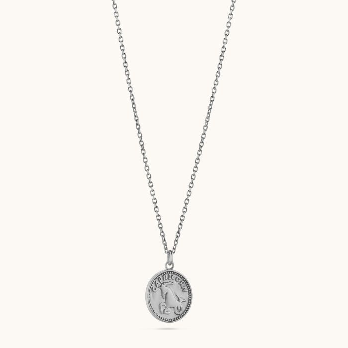Sterling Silver Capricorn Zodiac Necklace