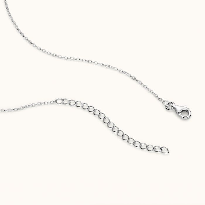 Sterling Silver Entwined Double Heart Necklace